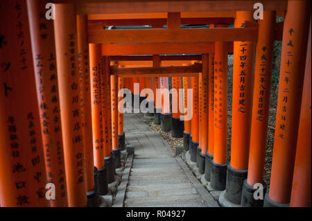 Kyoto, Japan, Torii Pfad zu Fushimi Inari-Taisha Stockfoto