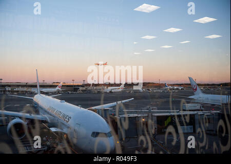 Tokio, Japan, Japan Airlines Flugzeuge am Flughafen Narita Stockfoto