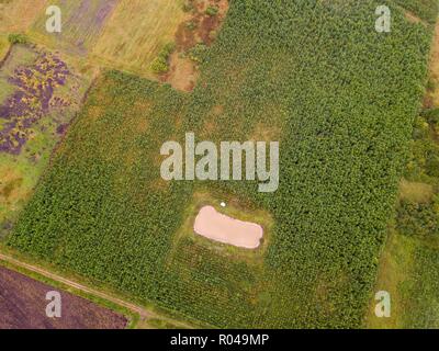 Kleinen Teich und Camping auf Felder. Von oben nach unten drone Landschaft. Stockfoto