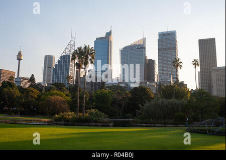 Sydney, Australien, City Blick auf das Geschäftsviertel mit botanischen Garten Stockfoto