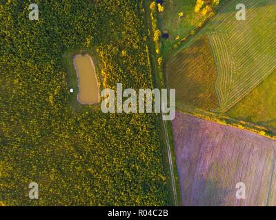 Kleinen Teich und Camping auf Felder. Von oben nach unten drone Landschaft. Stockfoto