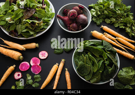 Frische Produkte aus der lokalen Landwirtschaft einschließlich gemischter Salat, Spinat, Karotten und Rüben auf schwarzem Hintergrund. Stockfoto