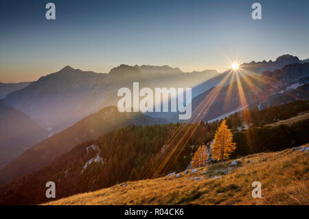 Blick vom Mangrt Pass über die Julischen Alpen in Richtung Italien, Slowenien Stockfoto