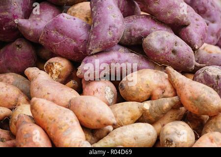 Lila und Gelb Süßkartoffeln am Markt. Stockfoto