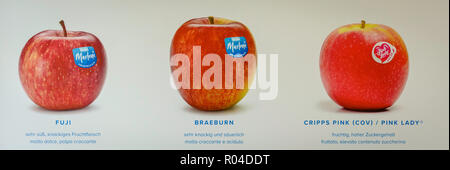 Äpfel Sorte 'Melinda' auf weißem Hintergrund mit der Beschreibung Der Name der Apple isoliert. Apple Land Südtirol. Orchard Markt Stockfoto