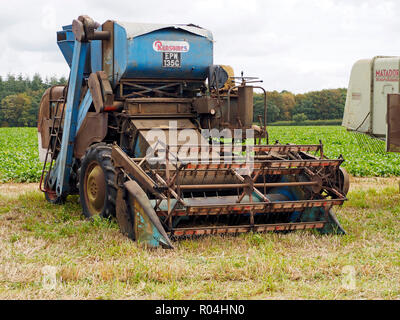 Eine rostige alte Ransomes 801 Mähdrescher aus den 1950er Jahren auf einem Volksfest in Norfolk. Stockfoto