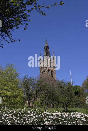 Der Glockenturm und die Turmspitze der Glasgow University zeichnet sich vor den Bäumen im Kelvingrove Park in Glasgow, wo die Universität liegt. Stockfoto