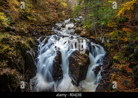 Die herbstliche Farben auf Schwarz Linn fällt in der Einsiedelei auf dem Fluss in der Nähe von Dunkeld Braan in Perthshire Stockfoto