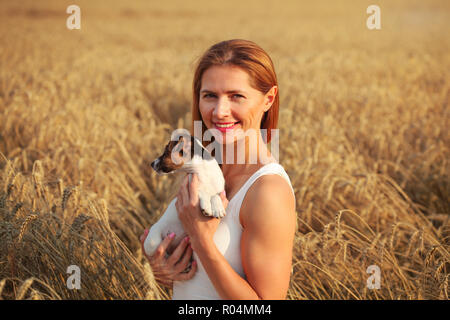 Junge athletische brunette lächelnde Frau, die Jack Russell Terrier Welpen auf ihre Hände im Weizenfeld, beim Untergang der Sonne leuchtet. Stockfoto