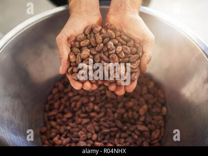 Arbeitnehmer, die eine Handvoll Kakao Bohnen für Schokolade Produktion Stockfoto