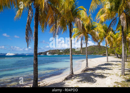 Brittania Bay Beach, Mustique, den Grenadinen, St. Vincent und die Grenadinen, Karibik, Karibik, Zentral- und Lateinamerika Stockfoto