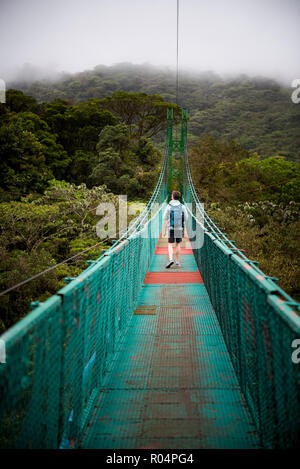 Treetop selvatura Hängebrücken, Monteverde Cloud Forest Reserve, Puntarenas, Costa Rica, Mittelamerika Stockfoto