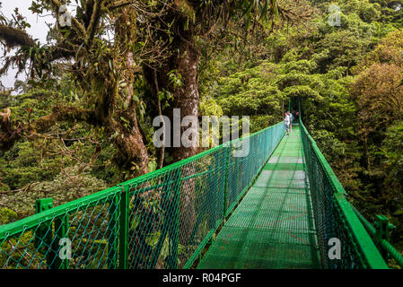 Treetop selvatura Hängebrücken, Monteverde Cloud Forest Reserve, Puntarenas, Costa Rica, Mittelamerika Stockfoto