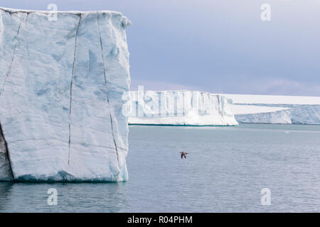 Gletscher Gesicht an Negribreen, Ostküste von Spitzbergen, einer Insel in Svalbard, Arktis, Norwegen, Europa Stockfoto