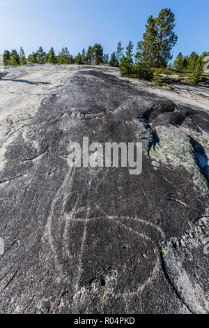 Tiere, die in der 9000 Jahre alten geschliffen und poliert Stein Alter rock Kunst an Leiknes, Norwegen, Skandinavien, Europa Stockfoto