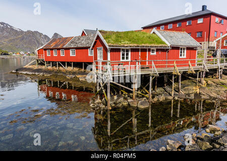 Sod-roofed Häuser in der Stadt, in der Lofoten, Arktis, Norwegen, Skandinavien, Europa Stockfoto