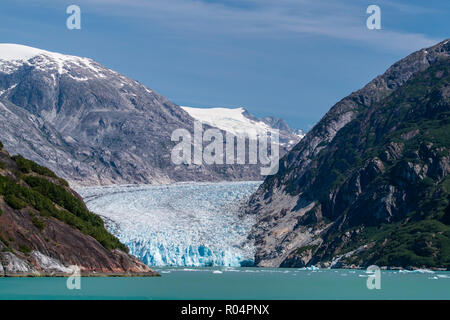 Dawes Gletscher in Endicott Arm in Southeast Alaska, Vereinigte Staaten von Amerika, Nordamerika Stockfoto