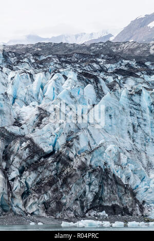 Lamplugh Gletscher Glacier Bay National Park, Alaska, Vereinigte Staaten von Amerika, Nordamerika Stockfoto