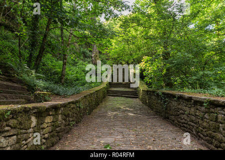 Alte steinerne Treppe zum Grünen gemäßigt Wald in der Bretagne, Frankreich Stockfoto