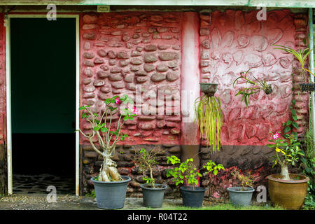 Rot Steinmauer mit tropischen Blumentöpfe in Thailand eingerichtet Stockfoto