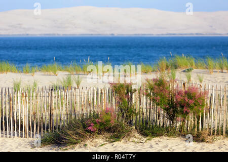 Bassin d'Arcachon und Dune du Pyla, Ansicht von Cap-Ferret Punkt, Bordeaux, Gironde, Frankreich Stockfoto