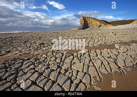 Freiliegende Kalkstein bei Ebbe an Nash auf der Glamorgan Heritage Coast, Glamorgan, Wales, Vereinigtes Königreich, Europa Stockfoto