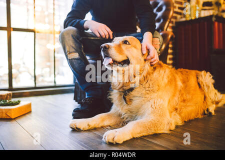 Erwachsenen Hund ein Golden Retriever, abrador liegt neben der Beine des Besitzers eines männlichen Züchter. Im Inneren des Hauses auf einer hölzernen Boden in der Nähe der Fenster mit einem Stockfoto