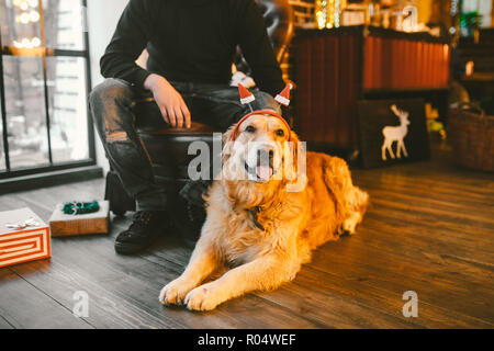 Erwachsenen Hund ein Golden Retriever, abrador liegt neben der Beine des Besitzers eines männlichen Züchter. Im Inneren des Hauses auf einer hölzernen Boden in der Nähe der Fenster mit einem Stockfoto