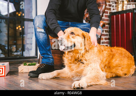 Erwachsenen Hund ein Golden Retriever, abrador liegt neben der Beine des Besitzers eines männlichen Züchter. Im Inneren des Hauses auf einer hölzernen Boden in der Nähe der Fenster mit einem Stockfoto