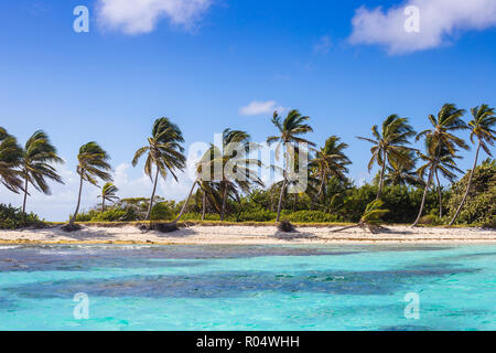 Petit Tabac, Tobago Cays, die Grenadinen, St. Vincent und die Grenadinen, Karibik, Karibik, Zentral- und Lateinamerika Stockfoto