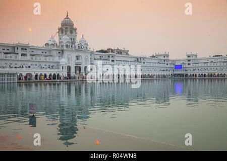 Harmandir Sahib (der Goldene Tempel), Amritsar, Punjab, Indien, Asien Stockfoto