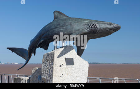 Bronze Skulptur eines Grauen Riffhai in der Nähe des Tiefen Aquarium und am Ufer des Flusses Humber in Hull, Humberside, East Yorkshire Stockfoto