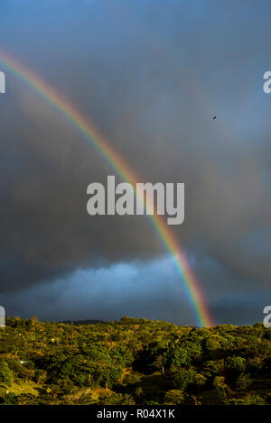 Regenbogen über Monteverde Cloud Forest Reserve bei Sonnenuntergang, Puntarenas, Costa Rica, Mittelamerika Stockfoto