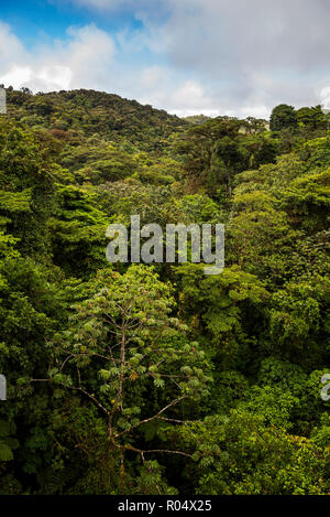 Monteverde Cloud Forest Reserve, von Selvatura Hängebrücken Treetop gesehen, Costa Rica, Mittelamerika Stockfoto