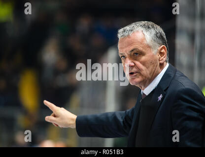 01. November 2018, Bayern, München: Eishockey: DEL, EHC Red Bull München - Eisbären Berlin, Hauptrunde, 16. Spieltag in der Olympic Sports Center. Trainer Clement Jodoin aus Berlin Gesten auf der Seitenlinie. Foto: Matthias Balk/dpa Stockfoto
