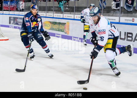 01. November 2018, Bayern, München: Eishockey: DEL, EHC Red Bull München - Eisbären Berlin, Hauptrunde, 16. Spieltag in der Olympic Sports Center. Florian Busch aus Berlin (r) spielt den Puck. Auf der linken Seite Derek Joslin aus München versucht den Puck zu erreichen. Foto: Matthias Balk/dpa Stockfoto