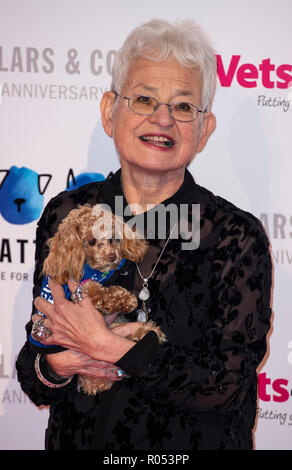 London, Großbritannien. 1. November 2018. Nimmt an der Battersea Hunde & Katzen Home Halsbänder & Mäntel Galaball 2018 Battersea Evolution am November 01, 2018 in London, England Credit: Gary Mitchell, GMP-Media/Alamy leben Nachrichten Stockfoto