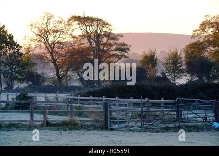 Reif, East Sussex, UK. 2. November 2018. Kalten und frostigen Morgen im Reif, East Sussex, als die Sonne über dem South Downs National Park. Credit: Peter Cripps/Alamy leben Nachrichten Stockfoto