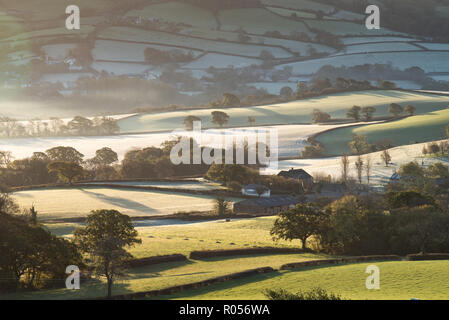 Marshwood, Dorset, Großbritannien. November 2018. UK Wetter: Eine Schicht aus kristallklarem, weißem Frost schmilzt von den Feldern, wenn die Sonne über dem ländlichen West Dorset aufgeht. Quelle: DWR/Alamy Live News Stockfoto