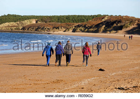 Gullane, Vereinigtes Königreich. 2. November 2018. UK Wetter: Sonnig aber kalt Tag auf Gullane Bents Strand, East Lothian, Schottland. Quelle: Craig Brown/Alamy leben Nachrichten Stockfoto