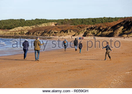 Gullane, Vereinigtes Königreich. 2. November 2018. UK Wetter: Sonnig aber kalt Tag auf Gullane Bents Strand, East Lothian, Schottland. Quelle: Craig Brown/Alamy leben Nachrichten Stockfoto