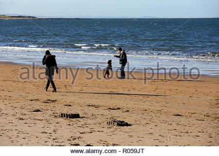 Gullane, Vereinigtes Königreich. 2. November 2018. UK Wetter: Sonnig aber kalt Tag auf Gullane Bents Strand, East Lothian, Schottland. Quelle: Craig Brown/Alamy leben Nachrichten Stockfoto