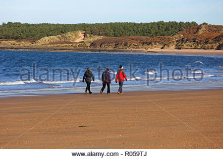 Gullane, Vereinigtes Königreich. 2. November 2018. UK Wetter: Sonnig aber kalt Tag auf Gullane Bents Strand, East Lothian, Schottland. Quelle: Craig Brown/Alamy leben Nachrichten Stockfoto