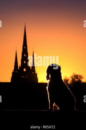 02/11/18 Vor einer kalten Nacht Springer Spaniel, Chester Uhren die untergehende Sonne über Kathedrale von Lichfield. Die Staffordshire mittelalterliche Kathedrale ist die einzige englische Kathedrale mit drei Türmen. Die drei Türme werden oft als die Damen der Vale' bezeichnet. Stockfoto