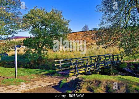 Herbstliche Szene an Burbage Bach, in der Nähe von padley Gorge Holz, Grindlebrook. Stockfoto