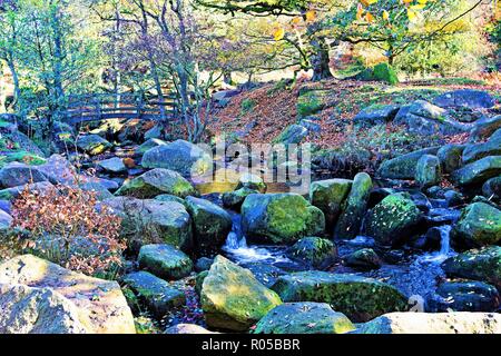 Herbstliche Szene an Burbage Bach, in der Nähe von padley Gorge Holz, Grindlebrook. Stockfoto