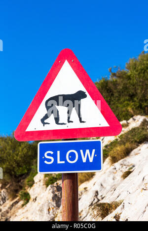 Verkehrszeichen auf den Felsen von Gibraltar Warnen von macaque Affen auf der Strasse. Felsen von Gibraltar, Gibraltar, Britisches Überseegebiet Stockfoto