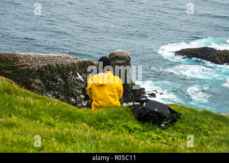 Wanderer dunkles auf Gras schaut Kolonie von Northern Gannet (Morus bassanus), Mykines Island, Färöer, Dänemark, Stockfoto