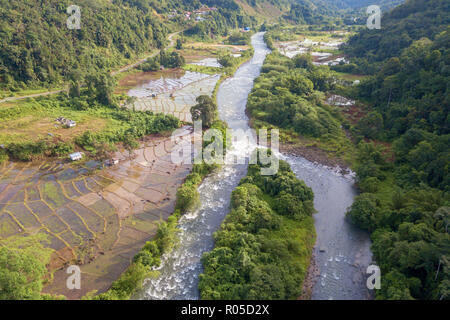 Reisfeld in der Nähe des Flusses im ländlichen Tal in Sabah Malaysia Borneo Stockfoto