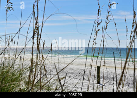 Anzeigen von geschützten Sea Oats und den Golf von Mexiko entlang weißer Sand oder sandigen Florida Gulf Coast Beach in Florida Panhandle, USA. Stockfoto
